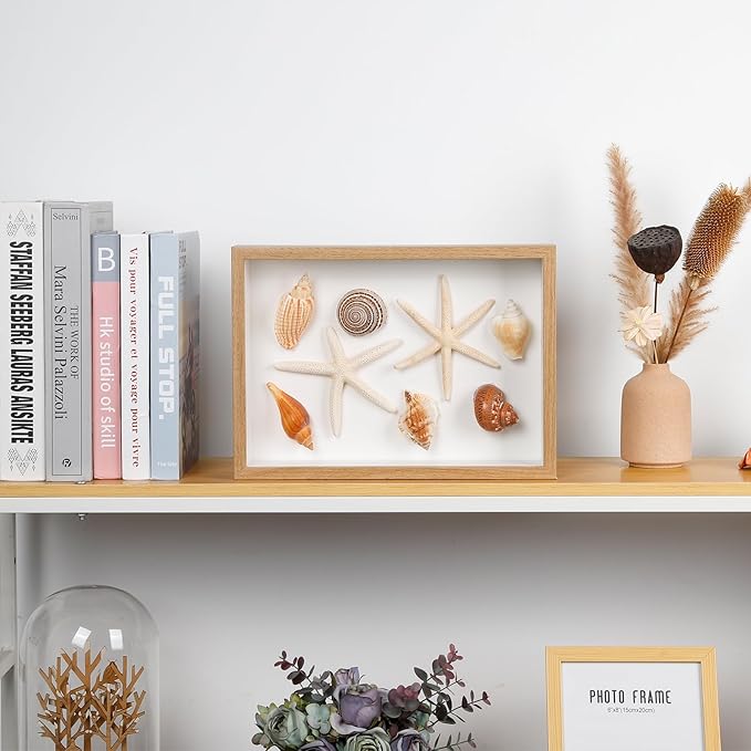 liomey Shell Ornament Christmas Decor 11.69" x 8.27" Coastal Wall Art Wooden Frame with Natural Conch Shells, Nautical Beach Home Decor, Ocean Themed Display for Living Room, Bedroom, Office(Two starfish and four conchs)