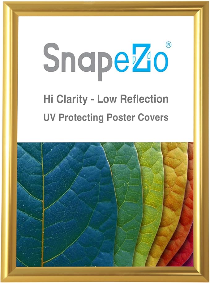 SnapeZo Gold Effect 36x48 Poster Frame, Front-Loading, Wall Mount, Aluminum 1.25" Profile, Professional Series