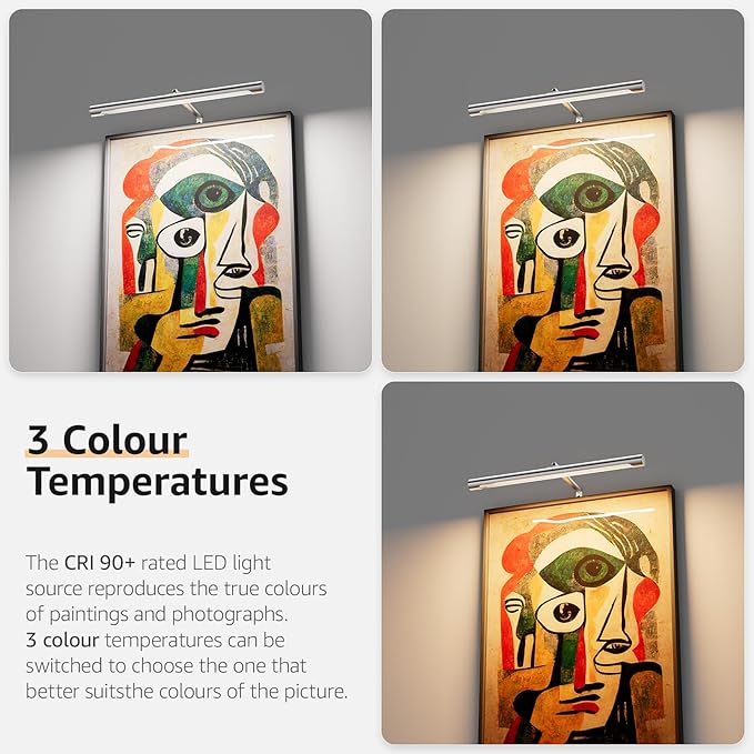 Picture Lights for Paintings Plug in, 16" Adjustable LED Picture Light Art Light with Timer, Remote Control Gallery Painting Wall Light for Picture Display Frame Dartboard Art Work (Nickel)