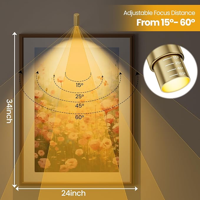 2 Pack Zoomable Picture Light Spotlight,Plug in LED Picture Lights for Wall 3000K Photo Frame Light with Remote Control Art Lighting for Paintings Gold Mini Accent Spotlights for Gallery