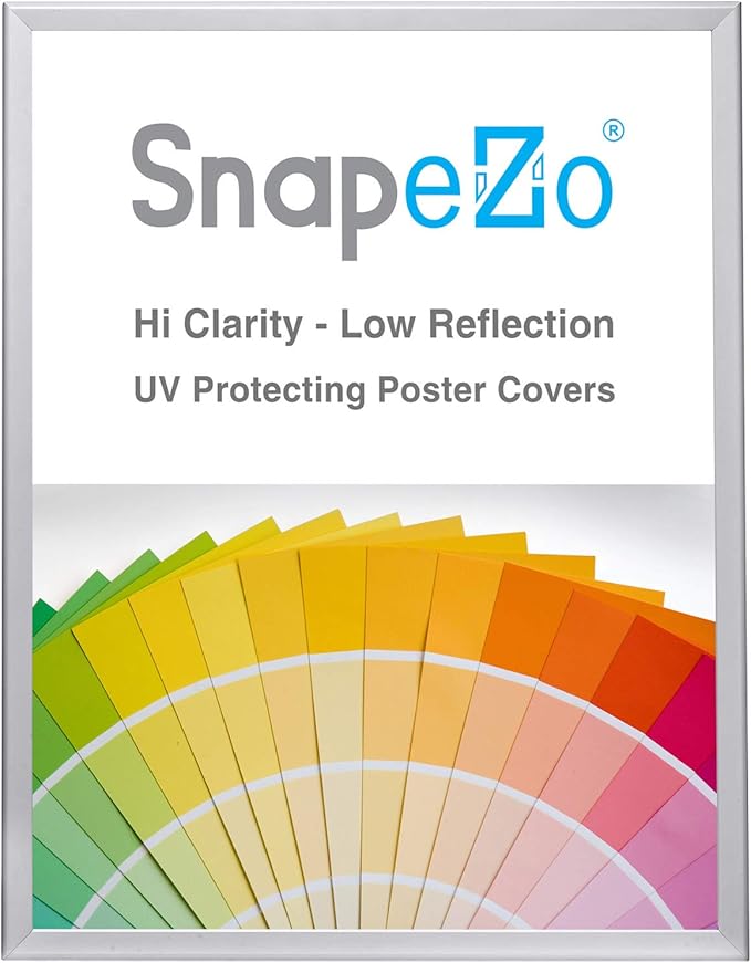 SnapeZo Poster Frame 36x48, Silver, 1.25 Inch Aluminum Profile, Front-Loading Snap Frame, Wall Mounting, Professional Series