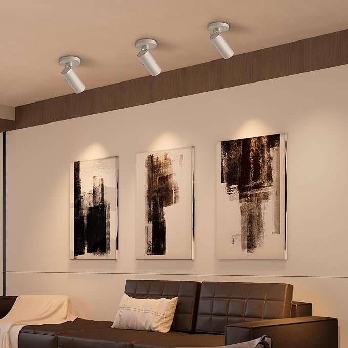 Aisilan 4 Pack LED Zoomable Ceiling Spotlight 12W Dimmable Adjustable Beam Angle 10-55° Swivelable Angle CRI 97 Matt Aluminum Accent Lamp for Corridor Mural Living Room Warm White 3000K