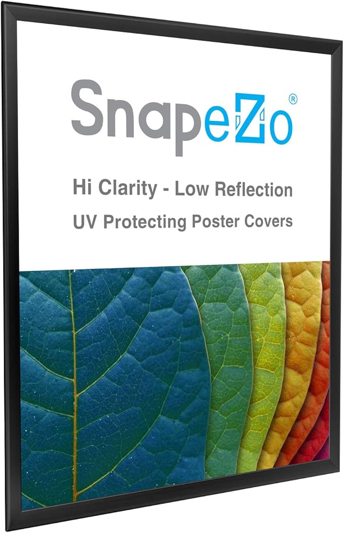 SnapeZo Poster Frame 24x30, Black, 1.25 Inch Aluminum Profile, Front-Loading Snap Frame, Wall Mounting, Professional Series