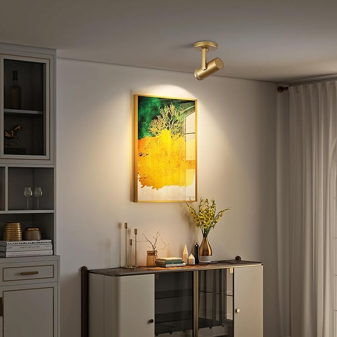 12W LED Gold Dimmable Zoomable Ceiling Spotlight Indoor – Adjustable Surface Mount Accent Light for Corridor, Living Room, Plants & Painting | Warm White 3000K CRI 97, Flicker-Free, 2 Packs