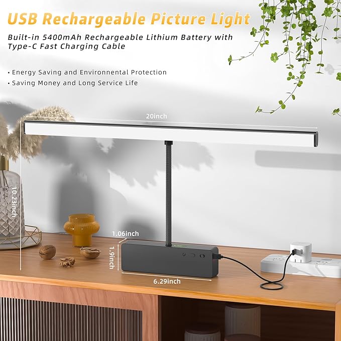 Lightbiz Picture Light, 20inch 6000mAh Rechargeable Picture Lights for Wall Battery Operated Wall Lights with Remote, 3 Colors Paintings Light Dimmable Art Light for Artwork, Gallery (Black)