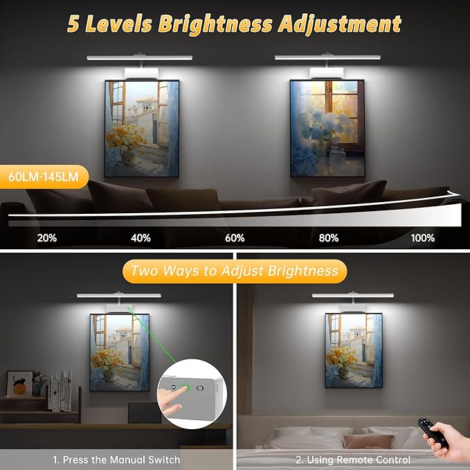 Lightbiz Picture Light, 20inch 6000mAh Rechargeable Picture Lights for Wall Battery Operated Wall Lights, 3 Colors Paintings Light Dimmable Art Light for Artwork, Gallery (Silver)