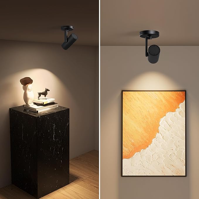 12W LED Dimmable Zoomable Ceiling Spotlight Indoor – Adjustable Surface Mount Accent Spot Light for Picture, Living Room, Plants & Artwork | Warm White 3000K CRI 97, Flicker-Free, Black 2 Packs