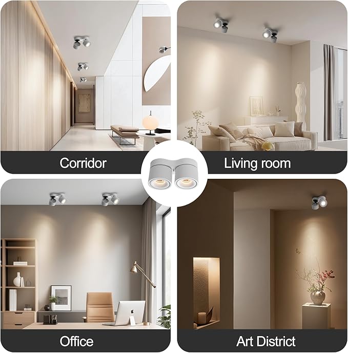 Spot Lights Indoor, Modern Art Display Accent Lights 3000-6000K Selectable, 20W Dual Head LED Spot Lights, CRI 98, 220° Directional, White Ceiling Spotlight for Kitchen, Plant, Living Room