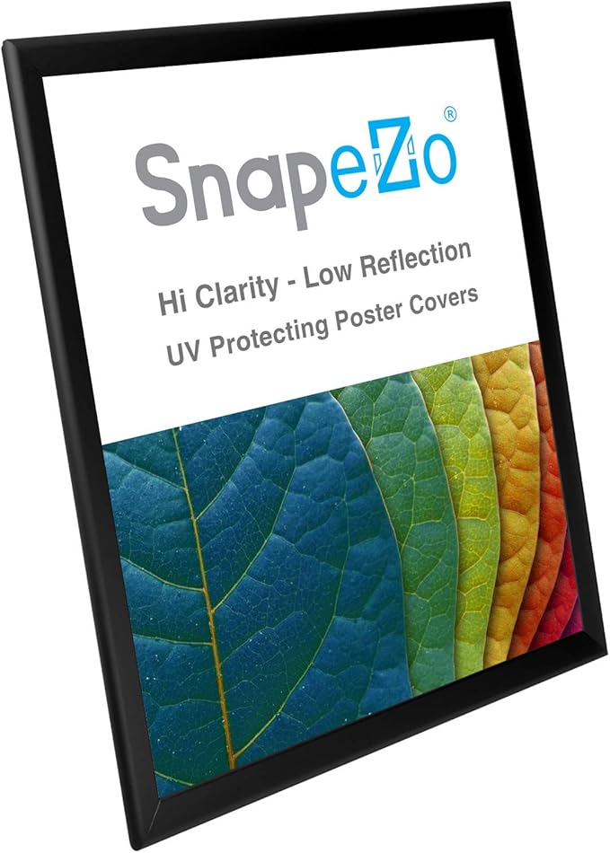 SnapeZo Photo Frame 18x24, Black, 1.25 Inch Aluminum Profile, Front-Loading Snap Frame, Wall Mounting, Professional Series