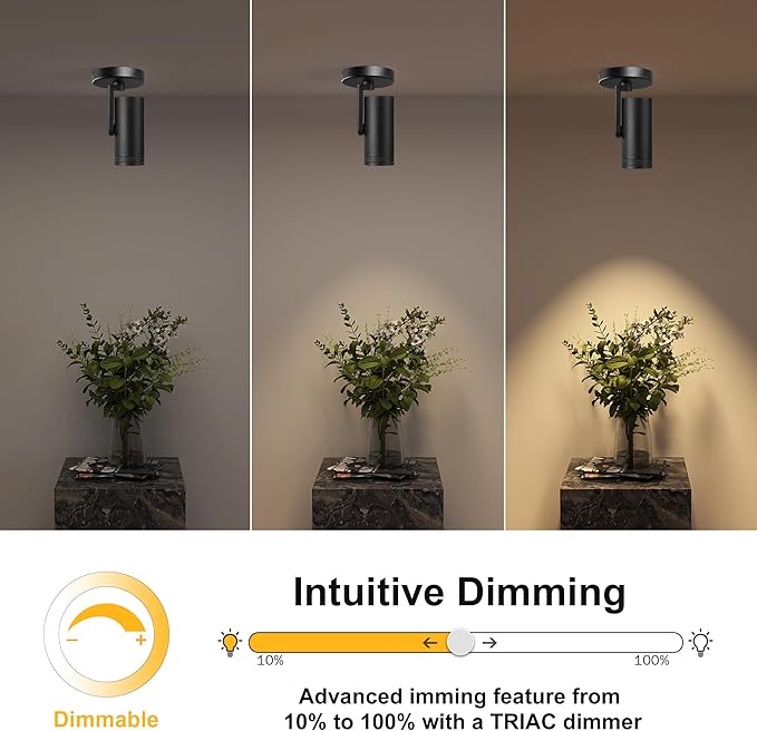 12W LED Dimmable Zoomable Ceiling Spotlight Indoor – Adjustable Surface Mount Accent Spot Light for Picture, Living Room, Plants & Artwork | Warm White 3000K CRI 97, Flicker-Free, Black 2 Packs
