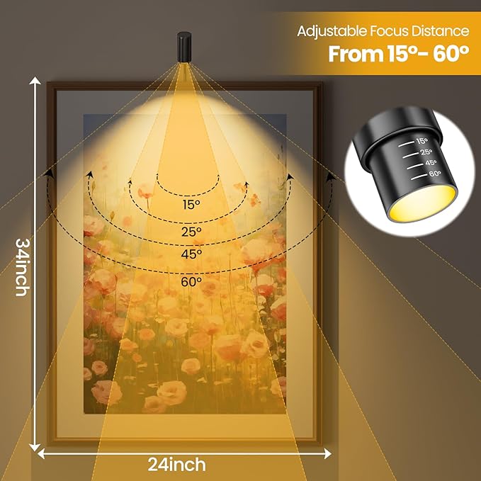 2 Pack Zoomable Picture Light Spotlight,Plug in LED Picture Lights for Wall 3000K Photo Frame Light with Remote Control Art Lighting for Paintings Black Mini Accent Spotlights for Gallery