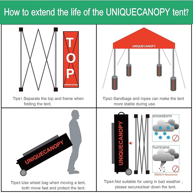 10'x10' Pop Up Canopy Tent Commercial Instant Shelter with Heavy Duty Roller Bag, 4 Canopy Sand Bags, 10x10 FT Lake Blue