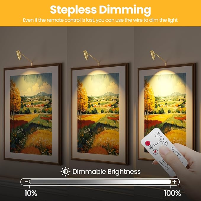 2 Pack Zoomable Picture Light Spotlight,Plug in LED Picture Lights for Wall 3000K Photo Frame Light with Remote Control Art Lighting for Paintings Gold Mini Accent Spotlights for Gallery
