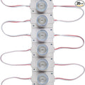 LED Module 12V with Lens 6500K 2.0W for Light Box with Tape Adhesive Back (20pcs Pack)