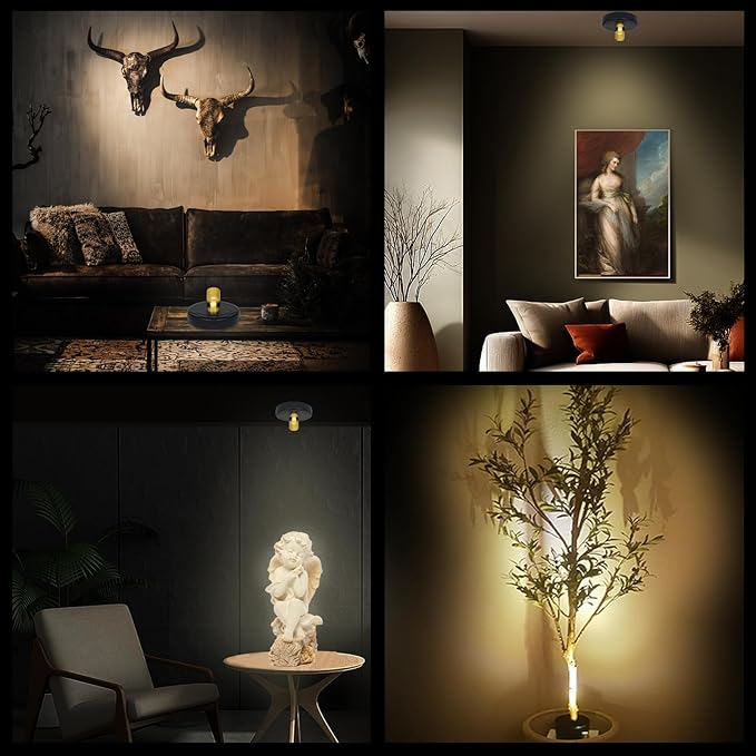 LED Spotlight Indoor,Rechargeable Battery Uplighting Indoor, Mini Accent Spot Lights for Plants Tree Wall Art Display Painting Artwork Portrait Dartboard Closet Gallery Photo