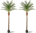 Artificial Phoenix Palm Tree 9ft Tall 2 Set – Fake Large Tropical Tree with 21 Adjustable Leaves, Outdoor Indoor Faux Sago Palm Plant for Living Room Patio Poolside Yard Decor (2, 9ft)