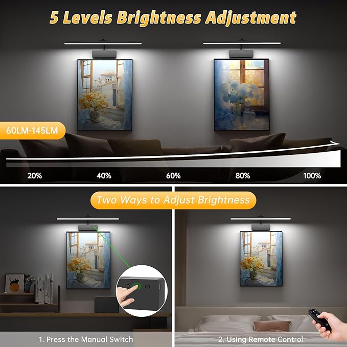 Lightbiz Picture Light, 20inch 6000mAh Rechargeable Picture Lights for Wall Battery Operated Wall Lights with Remote, 3 Colors Paintings Light Dimmable Art Light for Artwork, Gallery (Black)