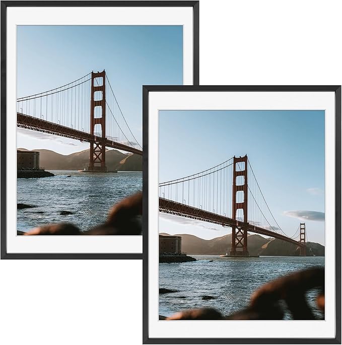 Frametory, 12x16 Metal Picture Frame with Mat for 11x14 Picture & Real Glass, Aluminum Photo Frame Collection (Black, 2 Pack)
