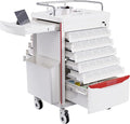 Medication Bins Cart with 200 Bins, 10 Drawers - Dual-Sided Open, 50 Medicine Boxes, Hidden Sub Workbench, Silent Casters, Container, 2 Trash Bin-Medical Crash Cart for Clinic, Hospital and Lab