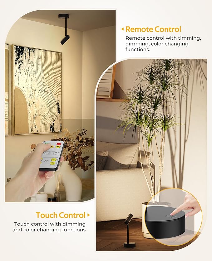 Spotlights Indoor, No-Glare Rechargeable Long Floor Can Light for Plants with Remote, Wireless Art Accent Spot Lights Uplight for Painting, Picture, Dartboard, Home, Corner Sofa Display