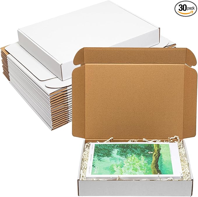 Shipping Boxes 12x9x2" 30 Pack - White Corrugated Cardboard Box Mailers for Small Business, Literature Mailer Box Packaging Supplies