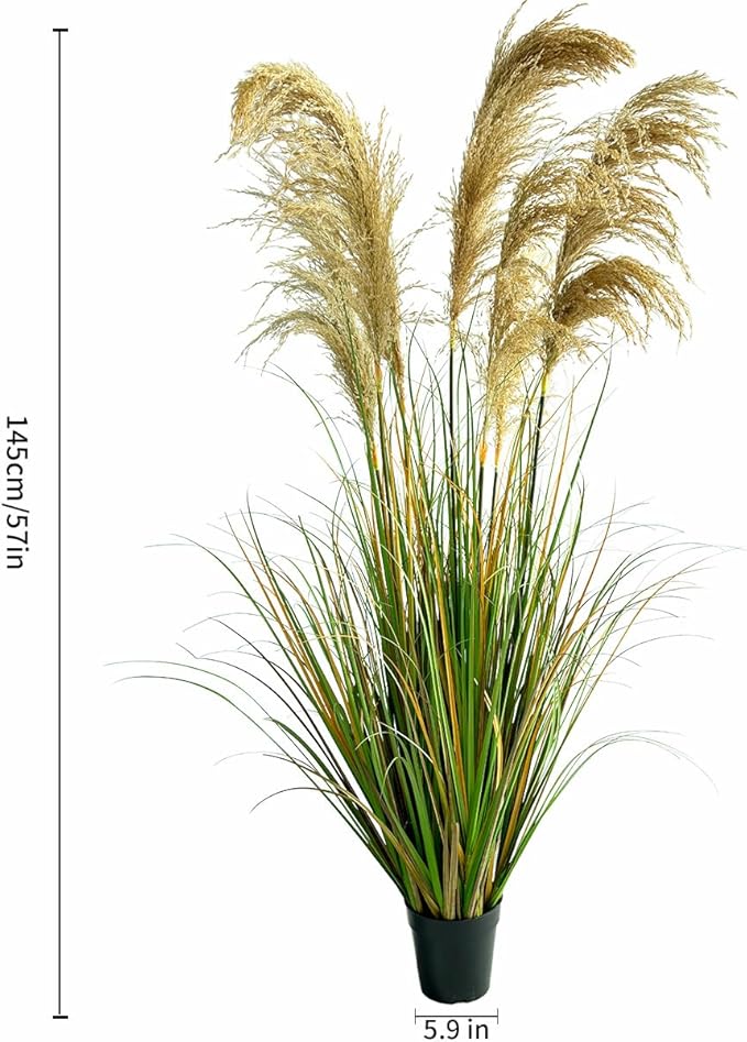 Alonfala - 57" (1-Pack) Pampas Grass Potted Plants - Artificial Faux Plants Featuring Tall Grass, Housewarming, and New Home Celebration. Elevate with Fake Plants, Ideal for Floor Decor.