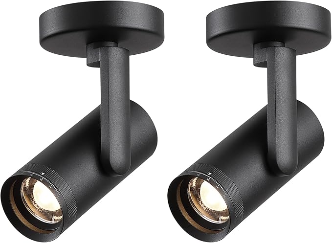 12W LED Dimmable Zoomable Ceiling Spotlight Indoor – Adjustable Surface Mount Accent Spot Light for Picture, Living Room, Plants & Artwork | Warm White 3000K CRI 97, Flicker-Free, Black 2 Packs