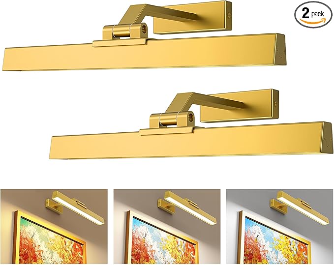 Picture Lights for Wall, Battery Operated Picture Light 16in Gallery Light for Paintings CCT Dimmable Recharging Battery Wall Light with Remote Control for Living Room Gallery Dartboard Art 2PCS