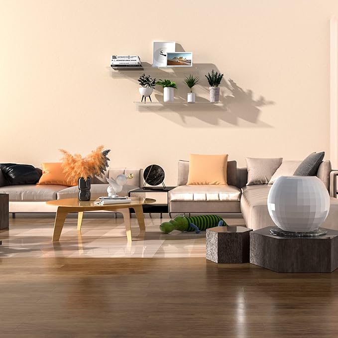 Acrylic Wall Shelves 36 24 12 Inches, Clear Floating Shelf for Wall, Wall Mounted Display Shelves for Plants, Radio, Funko Pop, Stuffed Animal, Books, Clock, Cosmetics, Toiletries