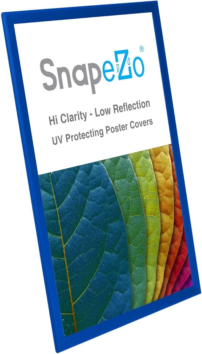 SnapeZo Poster Frame 20x30, Blue, 1.25 Inch Aluminum Profile, Front-Loading Snap Frame, Wall Mounting, Professional Series