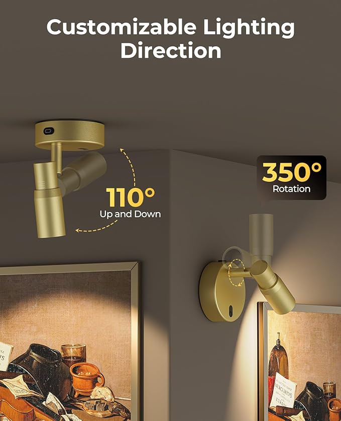 PESUTEN Spot Lights Indoor, Rechargeable Picture Light with Remote, Dimmable CCT Spotlight for Wall Art, 6000mAh Battery Uplights Indoor with Timer for Plant Artwork Painting Sofa Corner Light Gold