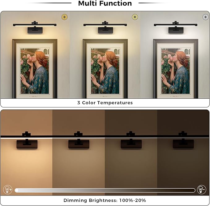 Picture Light Removable Battery Charging, 16in Wireless Art Light for Paintings, Dimmable 5000mAh Recharging Battery Picture Light with Remote Control for Pictures Display