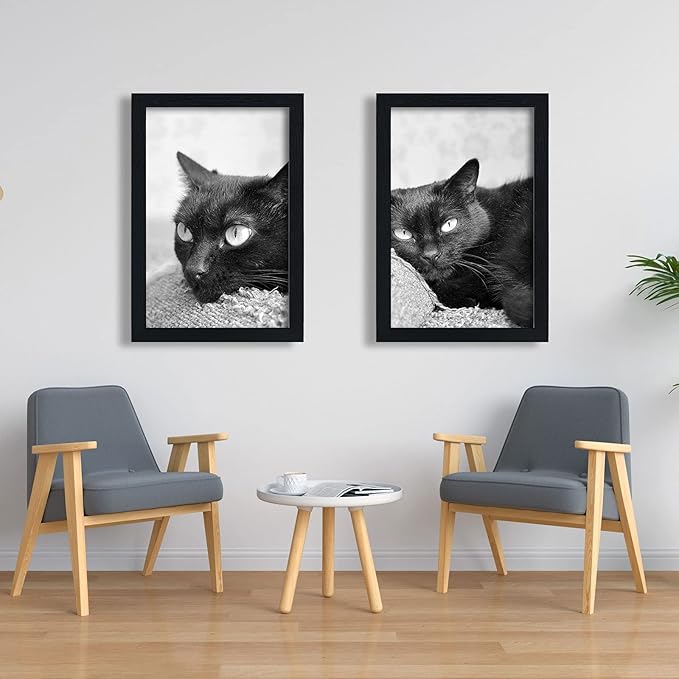 VCK 20x30 Inch Black Poster Frame Wooden with Plexiglass Wall Hanging Picture Frame for Poster Artwork Certificate Included 5 Pack