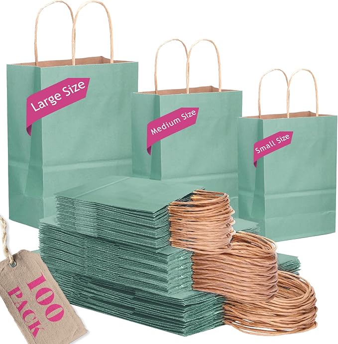 qiqee 100PCS Gift Bag with Handles Bulk Kraft Light Blue Paper Bags Assorted Sizes(33pcs Large 13",33pcs Medium 11",34pcs Small 8")