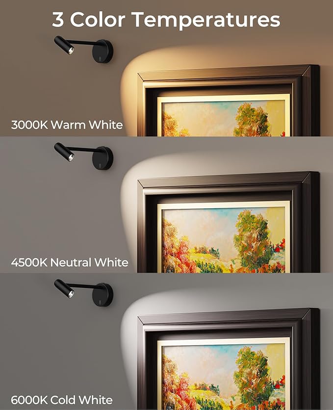 Picture Light for Wall, Battery Operated Art Light for Paintings CCT Dimmable Recharging Gallery Battery Wall Light with Remote Control for Living Room Gallery Dartboard Art Bathroom