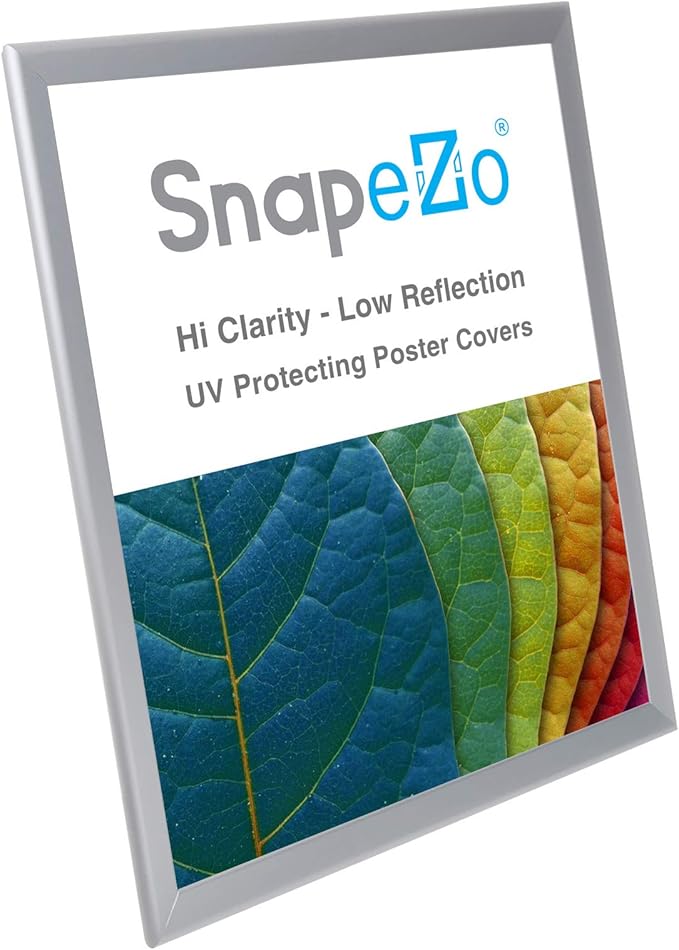 SnapeZo Photo Frame 18x24, Silver, 1.25 Inch Aluminum Profile, Front-Loading Snap Frame, Wall Mounting, Professional Series