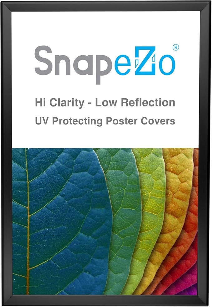 SnapeZo Poster Frame 20x30, Black, 1.25 Inch Aluminum Profile, Front-Loading Snap Frame, Wall Mounting, Professional Series