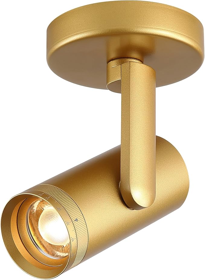 12W LED Gold Dimmable Zoomable Ceiling Spotlight Indoor – Adjustable Wall Surface Mount Accent Light for Home Corridor, Picture, Plants & Painting | Warm White 3000K CRI 97