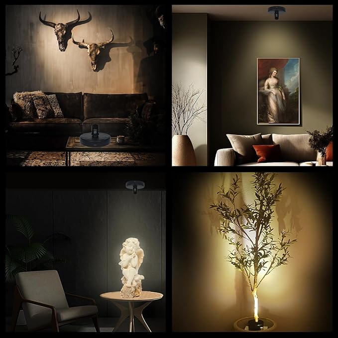 LED Spotlight Indoor,Rechargeable Battery Uplighting Indoor, Mini Accent Spot Lights for Plants Tree Wall Art Display Painting Artwork Portrait Dartboard Closet Gallery Photo-Black 2Pack