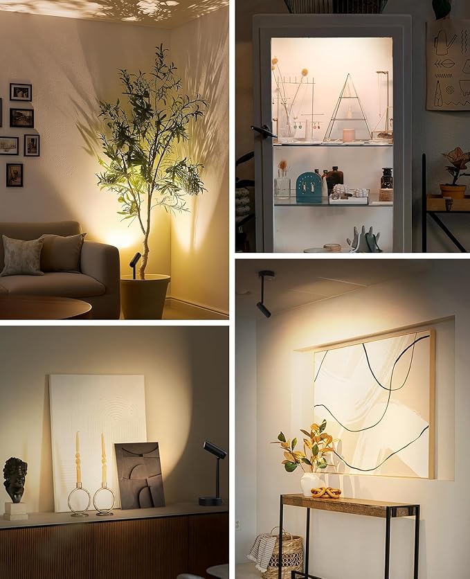 Spotlights Indoor, No-Glare Rechargeable Long Floor Can Light for Plants with Remote, Wireless Art Accent Spot Lights Uplight for Painting, Picture, Dartboard, Home, Corner Sofa Display