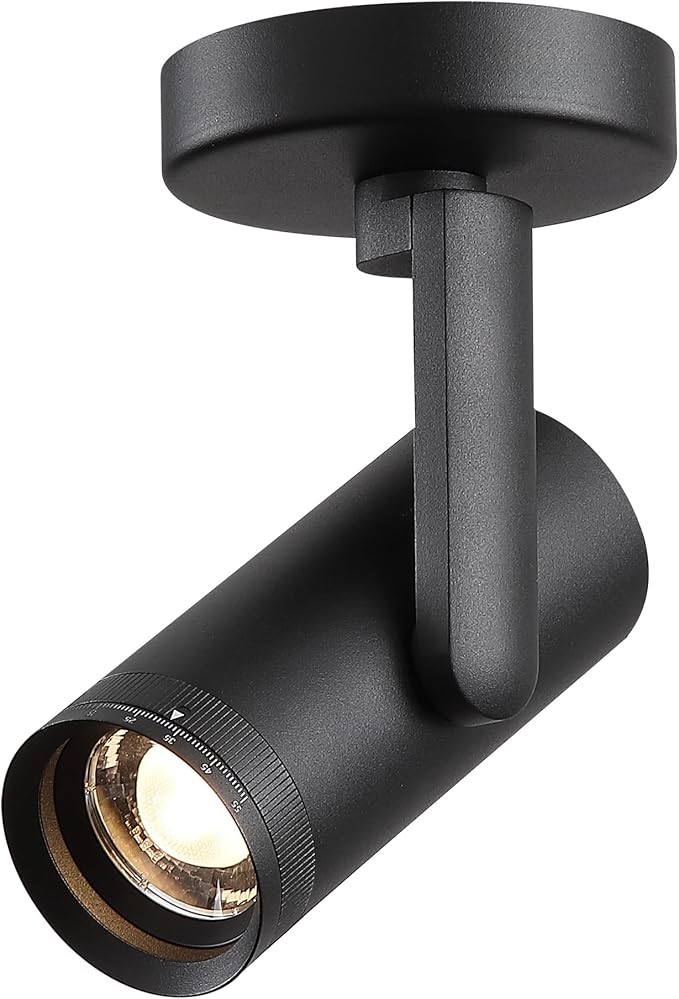 12W LED Dimmable Zoomable Ceiling Spotlight Indoor – Adjustable Beam Angle 10-55° Surface Mount Wired Accent Spot Light for Picture, Plants & Painting | Warm White 3000K CRI 97, Black