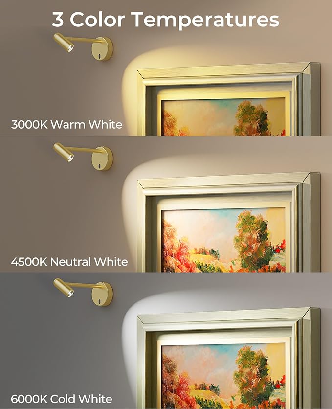 Picture Light for Wall, Battery Operated Art Light for Paintings CCT Dimmable Recharging Gallery Battery Wall Light with Remote Control for Living Room Gallery Dartboard Art Bathroom Gold