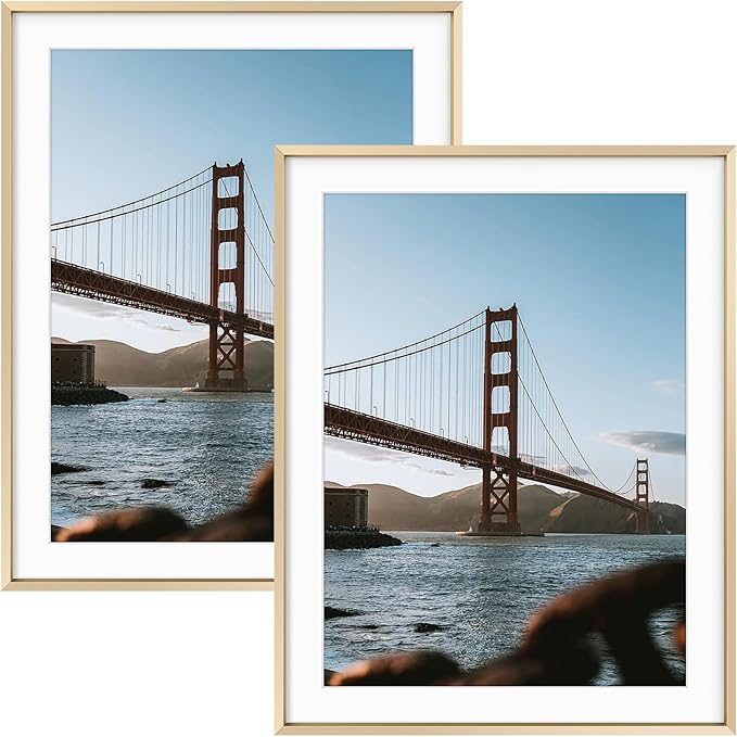Frametory, 14x18 Metal Picture Frame with Mat for 12x16 Picture & Real Glass, Aluminum Photo Frame Collection (Gold, 2 Pack)