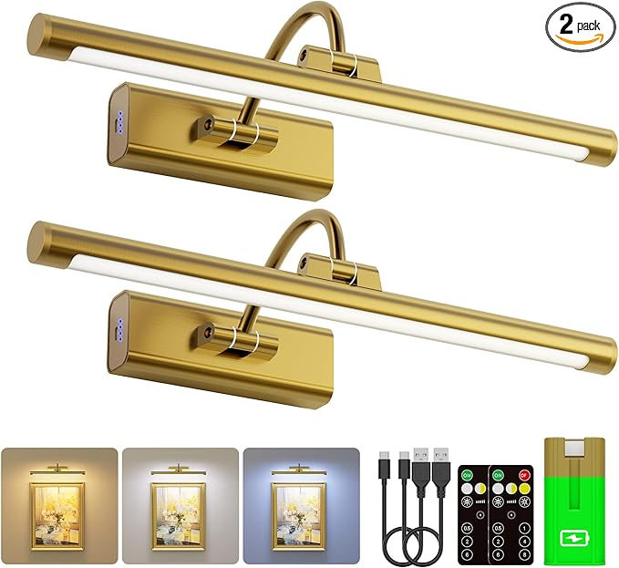 16" Art Lighting for Paintings with 1pcs Extra 6000mAh Battery - 2 Pack Wireless Dimmable Wall Mount for Paintings, Artwork, Portraits & Frames