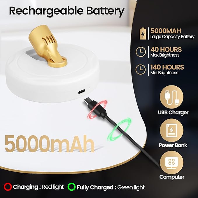 LED Spotlight, Rechargeable Battery Picture Lights, Uplighting Indoor with Remote, Stick Spot Lights for Wall Display Dartboard Painting Artwork Accent-2pcs
