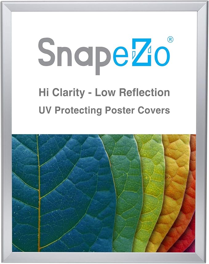 SnapeZo Photo Frame 18x24, Silver, 1.25 Inch Aluminum Profile, Front-Loading Snap Frame, Wall Mounting, Professional Series