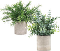 Fake Plants Small Potted, 2 Set of Artificial Plants (Eucalyptus && Rosemary), Fake Potted is Suitable for Decoring Home Office Bathrooms, Tables, Bookshelf and Modern Farmhouse Decor