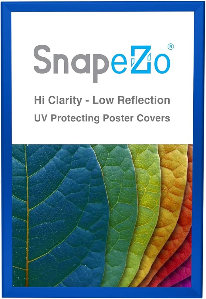 SnapeZo Poster Frame 20x30, Blue, 1.25 Inch Aluminum Profile, Front-Loading Snap Frame, Wall Mounting, Professional Series