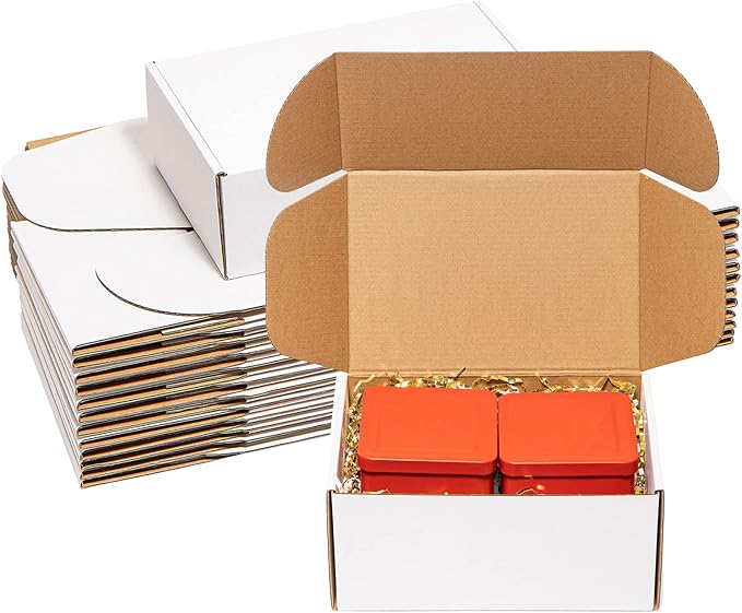 Shipping Boxes 9x6x4 inches 25 Pack White Corrugated Cardboard Mailing Box for Small Business - Literature Mailer Mail Packaging Supplies