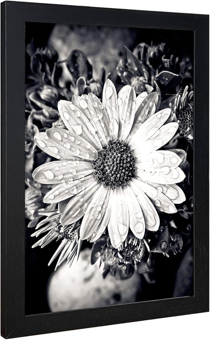 VCK Poster Frame 11x17 Black Set of 5,Solid Wood Picture Frame for Wall Mounting Hanging Art and Puzzles